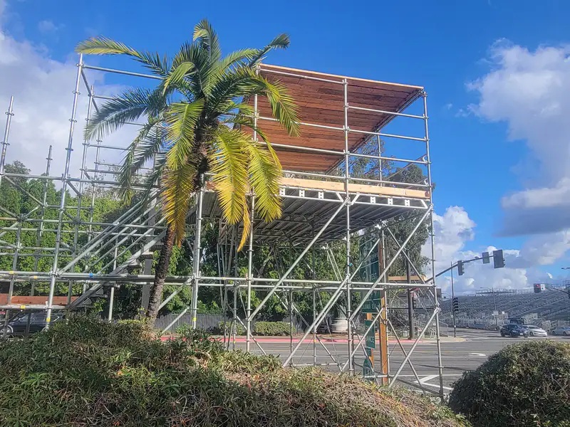 Scaffold platform with a shade cover beside a palm tree next to a busy intersection