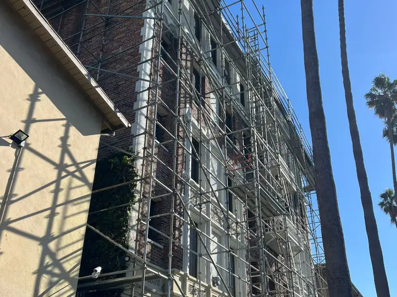 Scaffold running the full height of a tall multi-story building facade beside a palm tree